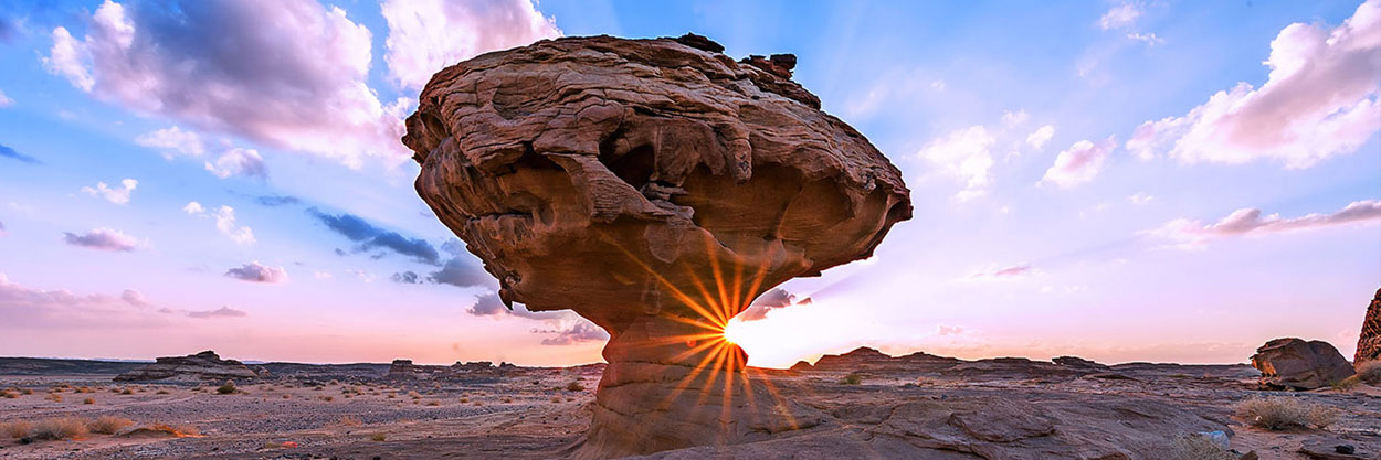 Unforgettable Tours